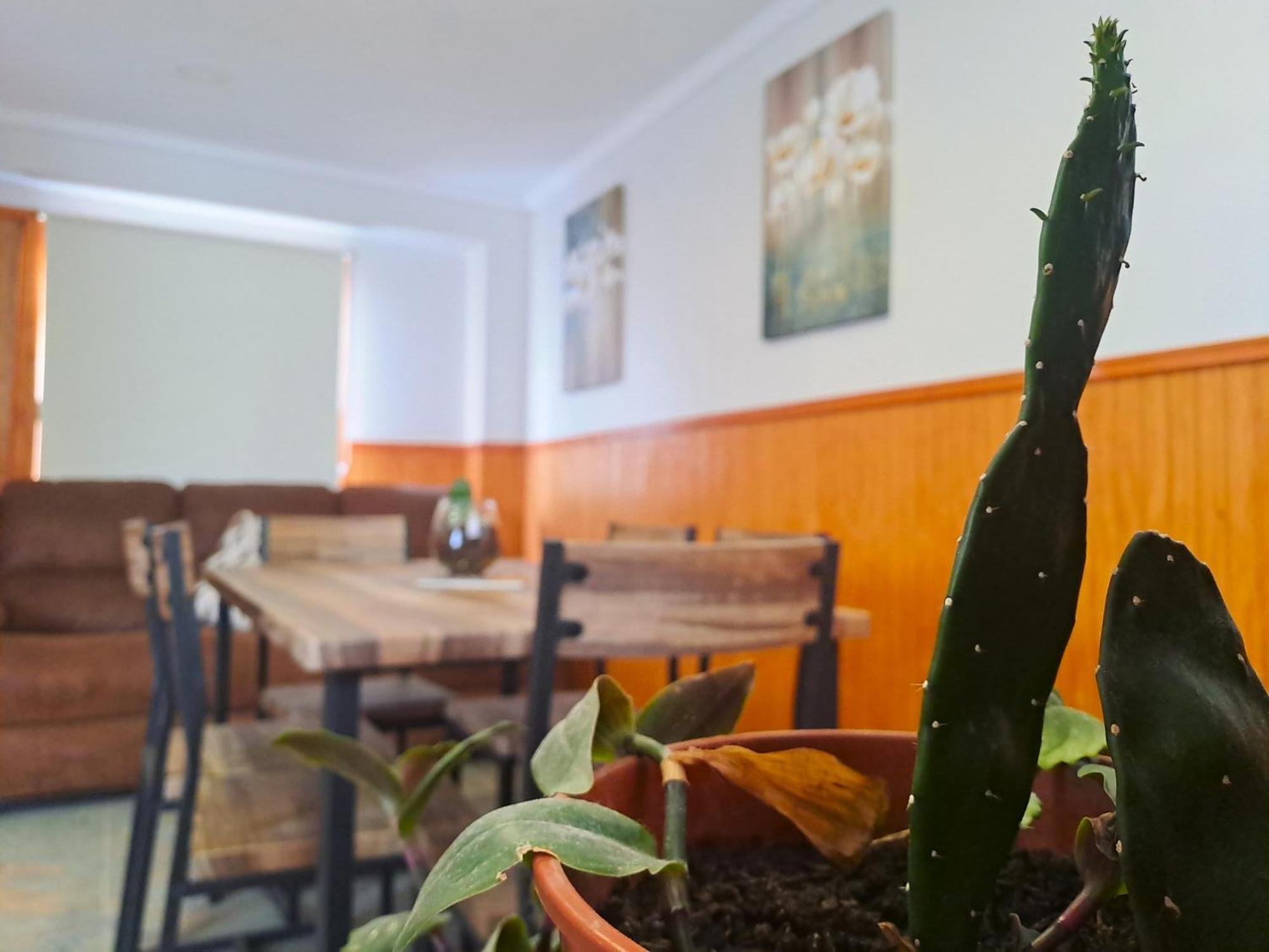 Cabanas El Rancho Puerto Natales Ngoại thất bức ảnh